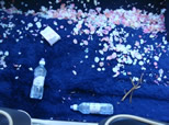 Confetti
