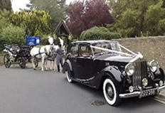 Mulliner