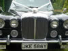Front of car with wedding ribbons