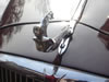 Close-up view the car mascot