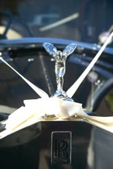 Car mascot
